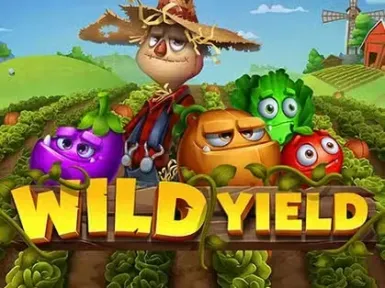 Need for Spin Casino screenshot